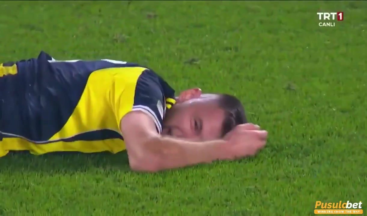 今日趣图：鱼缸不会消失只会转移，咸水鱼和淡水鱼注定无法共存？